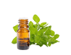 Oregano Essential Oil