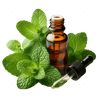 Peppermint Essential Oil